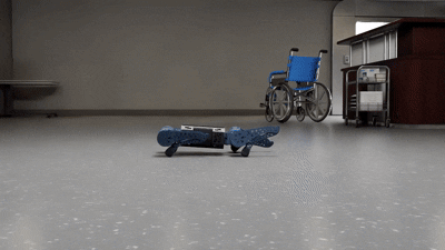 Model Predictive Control for quadrupedal locomotion